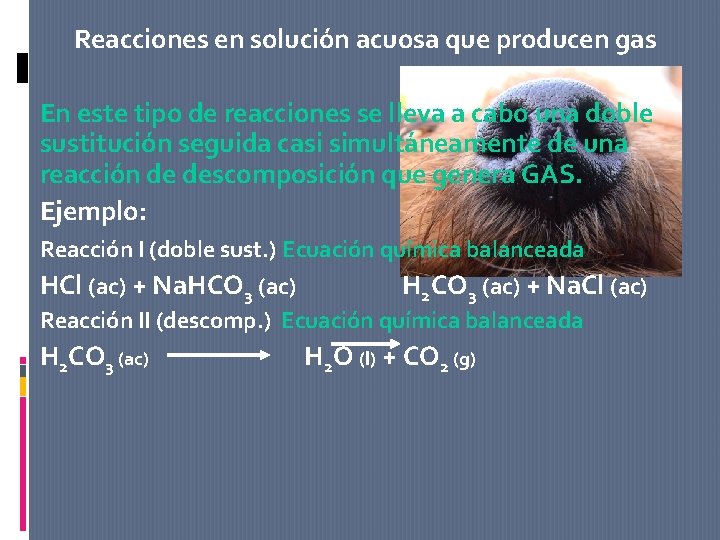 Reacciones en solución acuosa que producen gas En este tipo de reacciones se lleva