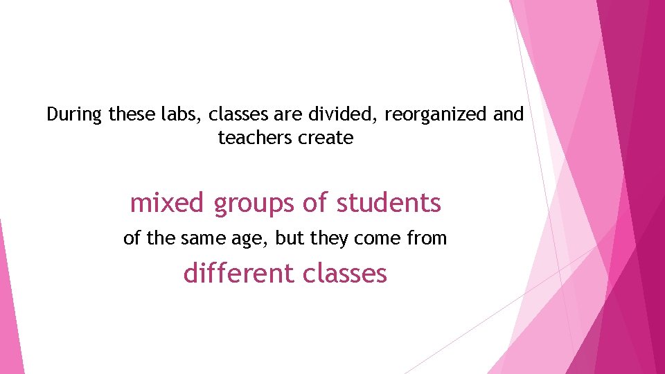 During these labs, classes are divided, reorganized and teachers create mixed groups of students