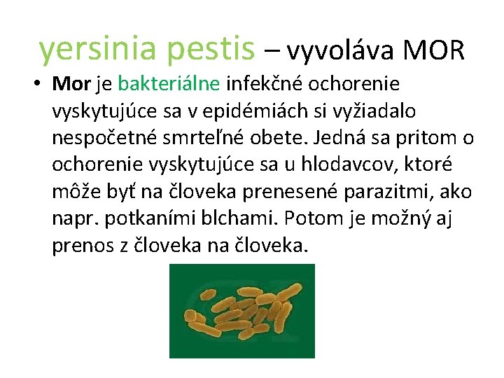 yersinia pestis – vyvoláva MOR • Mor je bakteriálne infekčné ochorenie vyskytujúce sa v