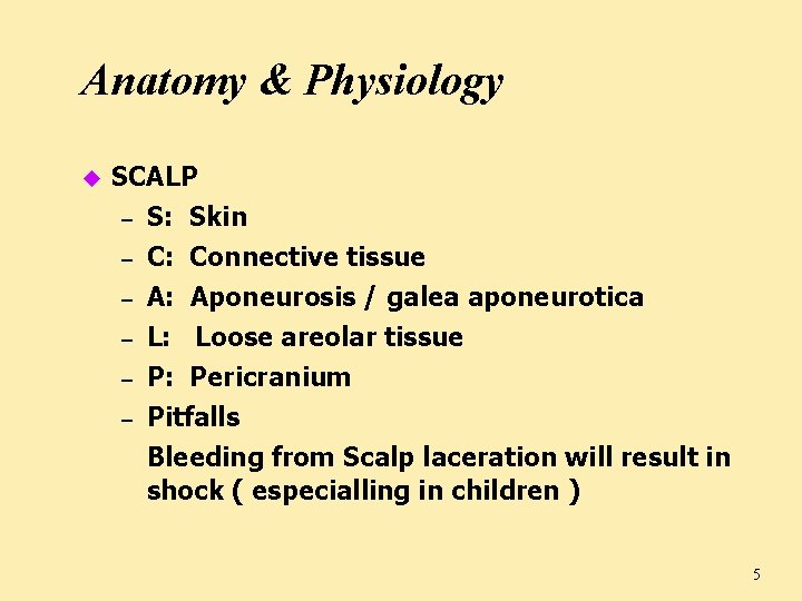 Anatomy & Physiology u SCALP – – – S: Skin C: Connective tissue A: