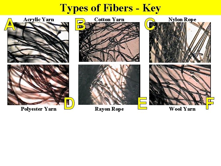 Types of Fibers - Key A Acrylic Yarn Polyester Yarn B D Cotton Yarn