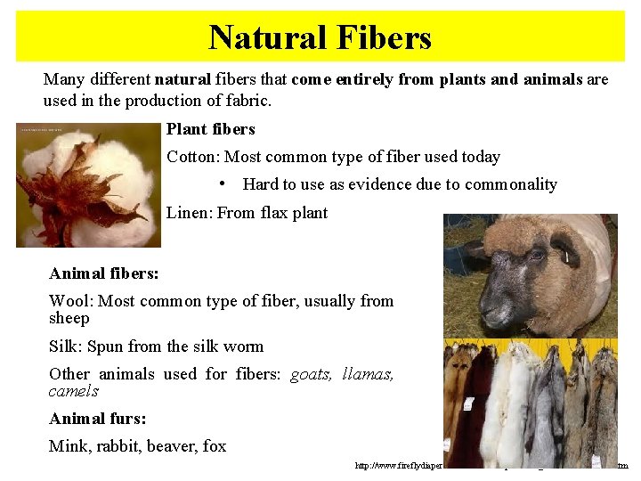 Natural Fibers Many different natural fibers that come entirely from plants and animals are