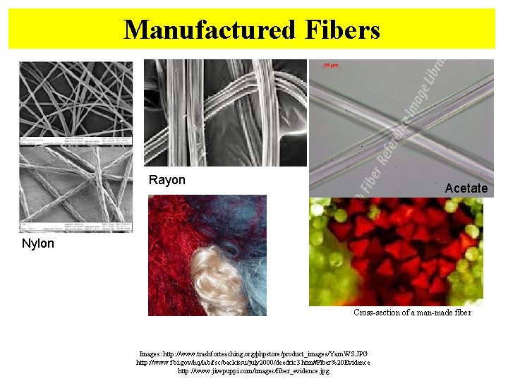 Manufactured Fibers Rayon Acetate Nylon Cross-section of a man-made fiber Images: http: //www. trashforteaching.