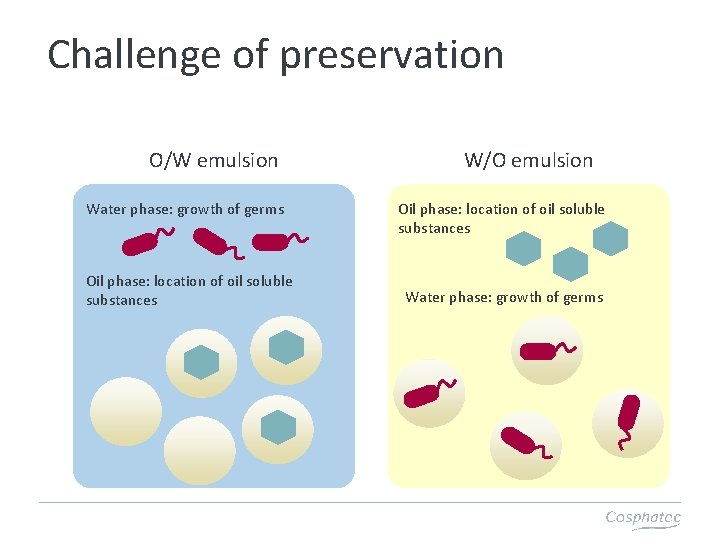 Challenge of preservation O/W emulsion Water phase: growth of germs Oil phase: location of