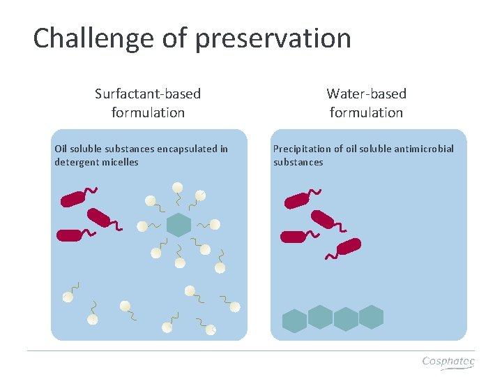 Challenge of preservation Surfactant-based formulation Oil soluble substances encapsulated in detergent micelles Water-based formulation