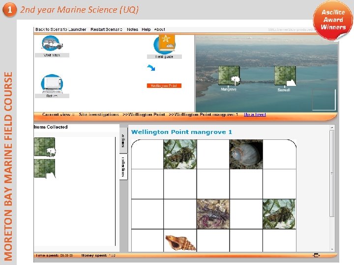 MORETON BAY MARINE FIELD COURSE 1 2 nd year Marine Science (UQ) 