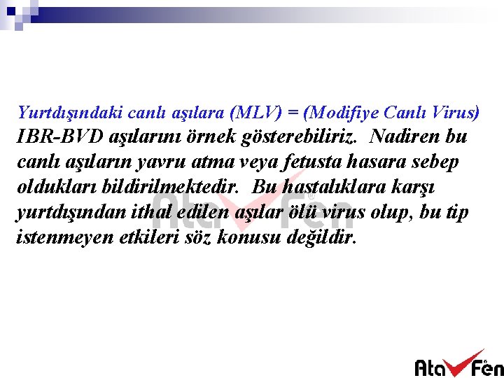 Yurtdışındaki canlı aşılara (MLV) = (Modifiye Canlı Virus) IBR-BVD aşılarını örnek gösterebiliriz. Nadiren bu