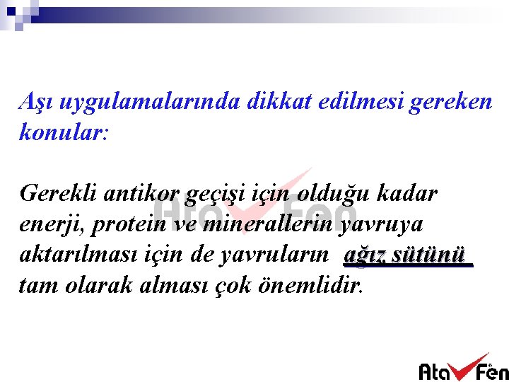 Aşı uygulamalarında dikkat edilmesi gereken konular: Gerekli antikor geçişi için olduğu kadar enerji, protein