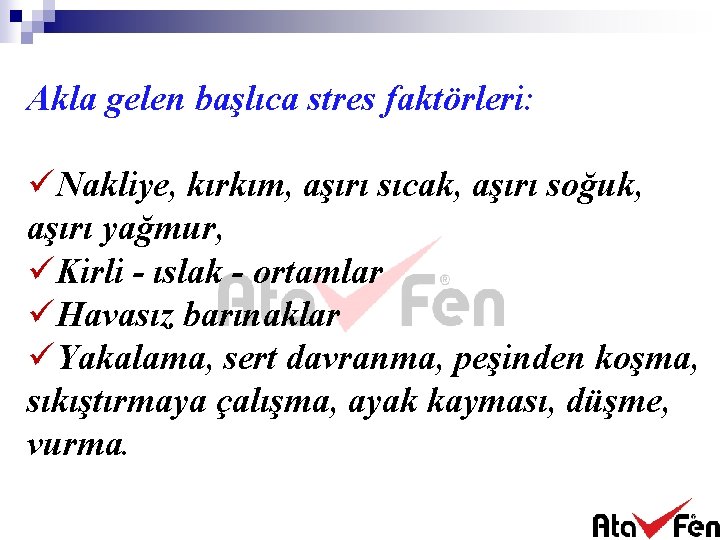 Akla gelen başlıca stres faktörleri: üNakliye, kırkım, aşırı sıcak, aşırı soğuk, aşırı yağmur, üKirli