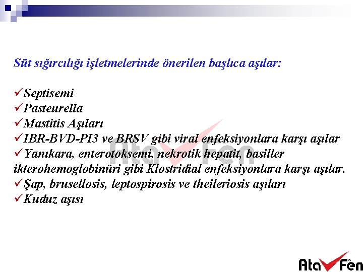 Süt sığırcılığı işletmelerinde önerilen başlıca aşılar: üSeptisemi üPasteurella üMastitis Aşıları üIBR-BVD-PI 3 ve BRSV