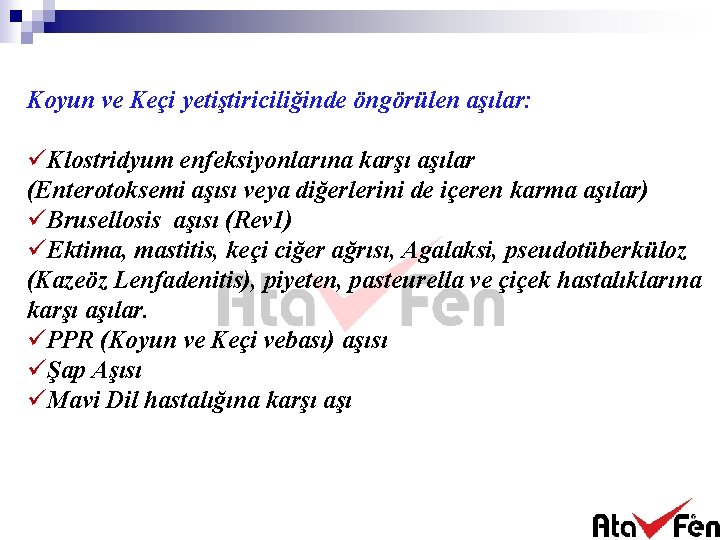 Koyun ve Keçi yetiştiriciliğinde öngörülen aşılar: üKlostridyum enfeksiyonlarına karşı aşılar (Enterotoksemi aşısı veya diğerlerini