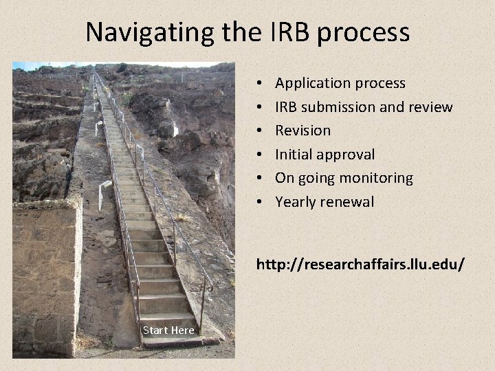 Navigating the IRB process • • • Application process IRB submission and review Revision