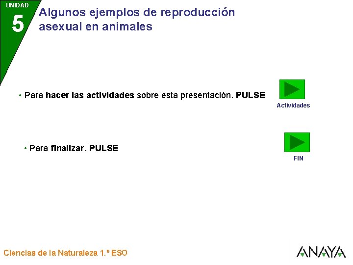 UNIDAD 5 3 Algunos ejemplos de reproducción asexual en animales • Para hacer las