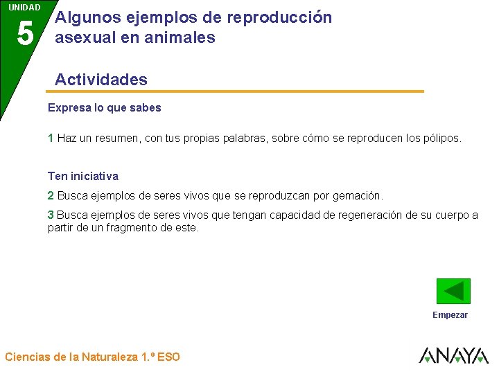 UNIDAD 5 3 Algunos ejemplos de reproducción asexual en animales Actividades Expresa lo que