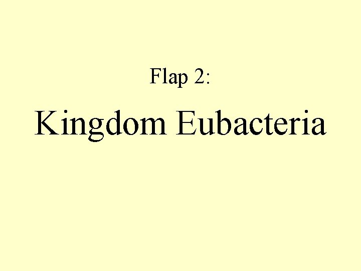 Flap 2: Kingdom Eubacteria 
