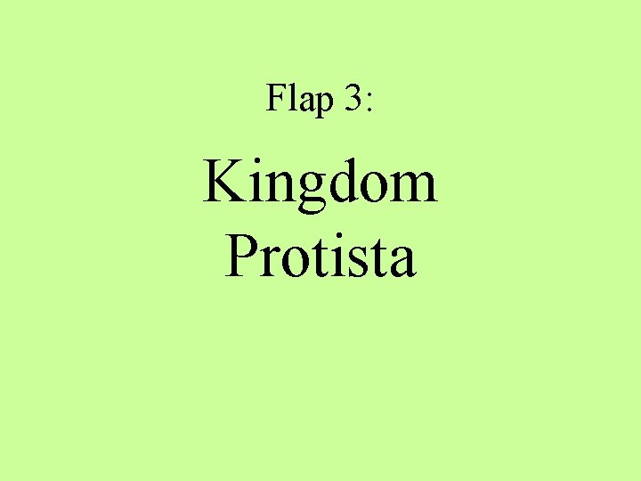 Flap 3: Kingdom Protista 