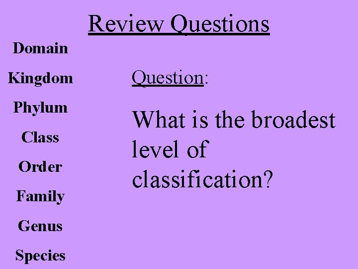 Review Questions Domain Kingdom Phylum Class Order Family Genus Species Question: What is the