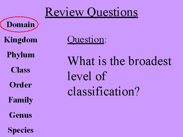 Review Questions Domain Kingdom Phylum Class Order Family Genus Species Question: What is the