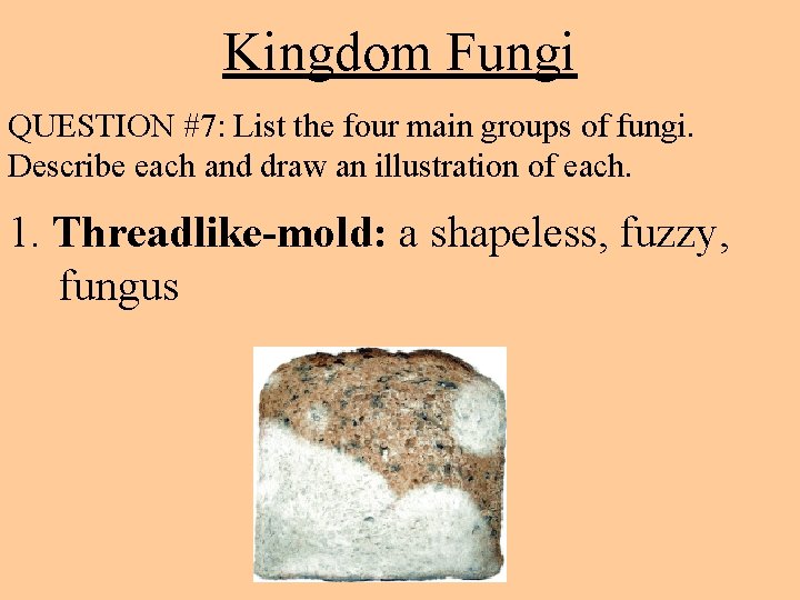 Kingdom Fungi QUESTION #7: List the four main groups of fungi. Describe each and