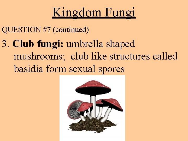 Kingdom Fungi QUESTION #7 (continued) 3. Club fungi: umbrella shaped mushrooms; club like structures