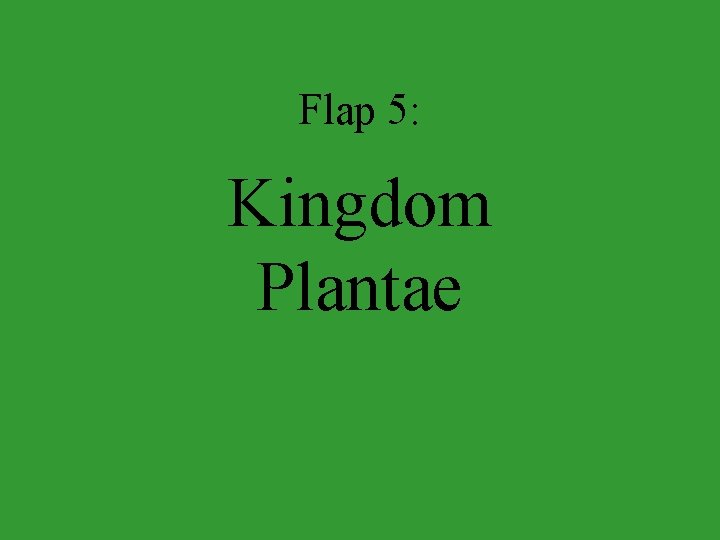 Flap 5: Kingdom Plantae 
