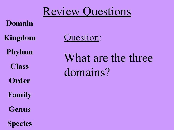 Review Questions Domain Kingdom Phylum Class Order Family Genus Species Question: What are three