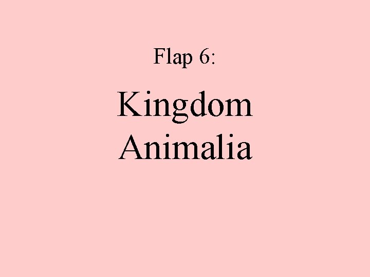 Flap 6: Kingdom Animalia 