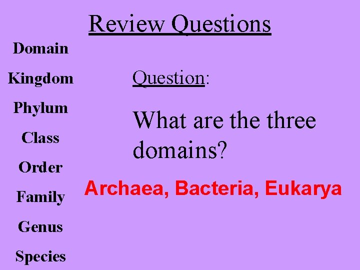 Review Questions Domain Kingdom Phylum Class Order Question: What are three domains? Archaea, Bacteria,