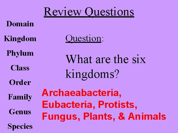 Review Questions Domain Kingdom Phylum Class Order Question: What are the six kingdoms? Archaeabacteria,