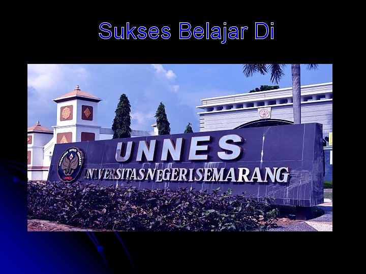 Sukses Belajar Di 