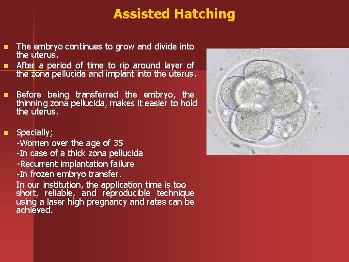 Assisted Hatching n n The embryo continues to grow and divide into the uterus.