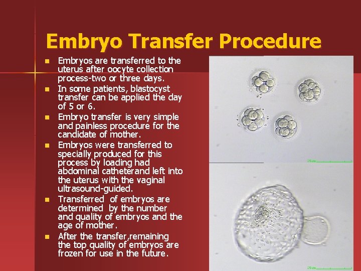 Embryo Transfer Procedure n n n Embryos are transferred to the uterus after oocyte