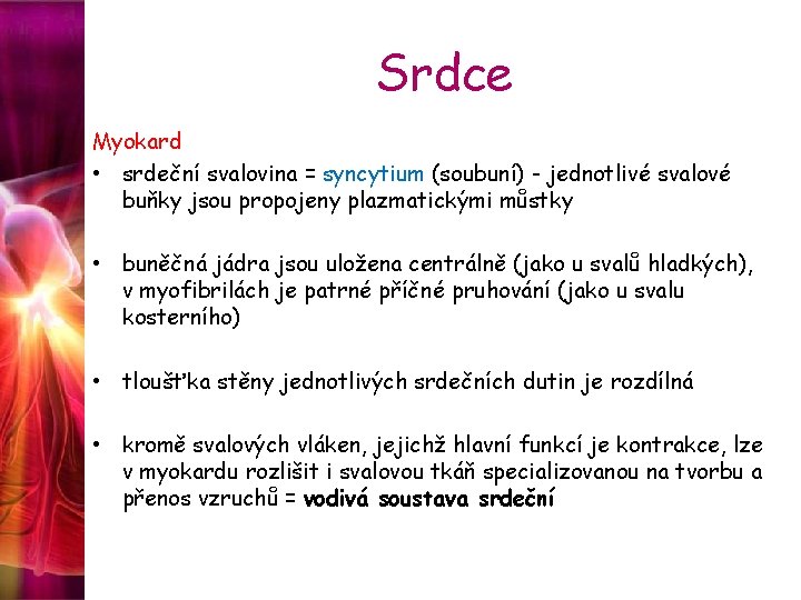 Srdce Myokard • srdeční svalovina = syncytium (soubuní) - jednotlivé svalové buňky jsou propojeny