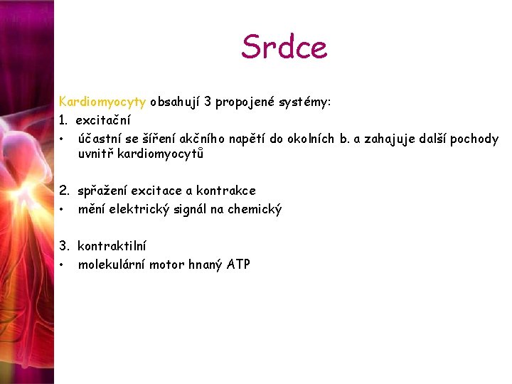 Srdce Kardiomyocyty obsahují 3 propojené systémy: 1. excitační • účastní se šíření akčního napětí