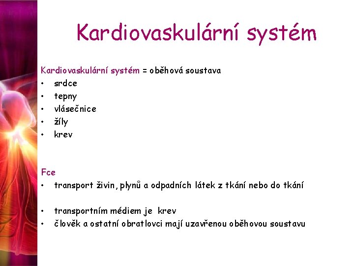 Kardiovaskulární systém = oběhová soustava • srdce • tepny • vlásečnice • žíly •