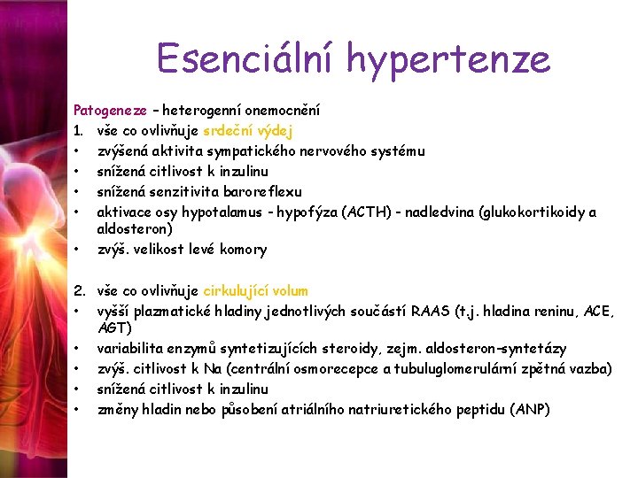 Esenciální hypertenze Patogeneze – heterogenní onemocnění 1. vše co ovlivňuje srdeční výdej • zvýšená