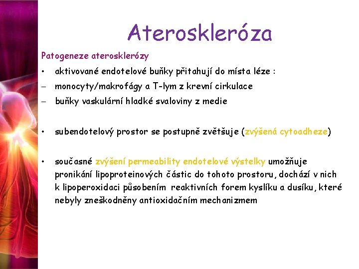 Ateroskleróza Patogeneze aterosklerózy • aktivované endotelové buňky přitahují do místa léze : – monocyty/makrofágy