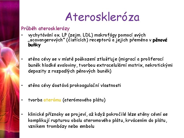 Ateroskleróza Průběh aterosklerózy • vychytávání ox. LP (zejm. LDL) makrofágy pomocí svých „scavangerových“ (čistících)