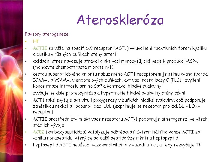 Ateroskleróza Faktory aterogeneze • HT • AGTII se váže na specifický receptor (AGT 1)