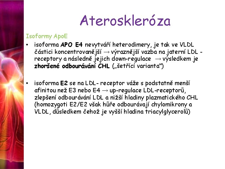 Ateroskleróza Isoformy Apo. E • isoforma APO E 4 nevytváří heterodimery, je tak ve