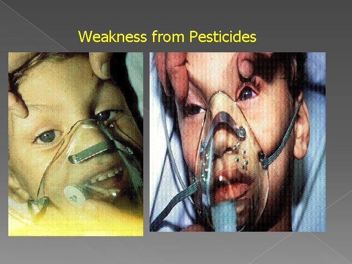 Weakness from Pesticides 