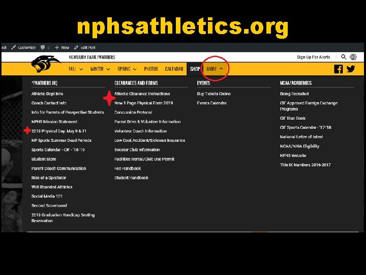 nphsathletics. org 