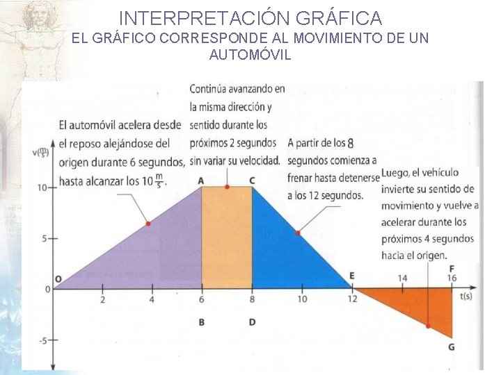 INTERPRETACIÓN GRÁFICA EL GRÁFICO CORRESPONDE AL MOVIMIENTO DE UN AUTOMÓVIL 