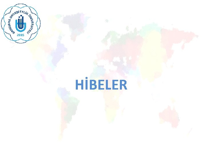 HİBELER 