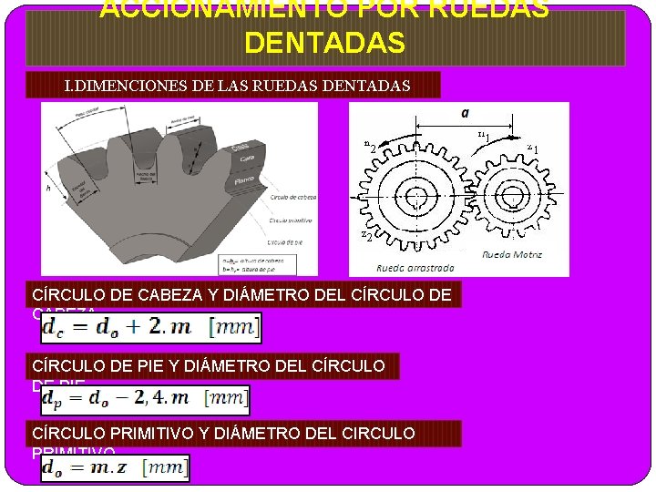 ACCIONAMIENTO POR RUEDAS DENTADAS I. DIMENCIONES DE LAS RUEDAS DENTADAS CÍRCULO DE CABEZA Y