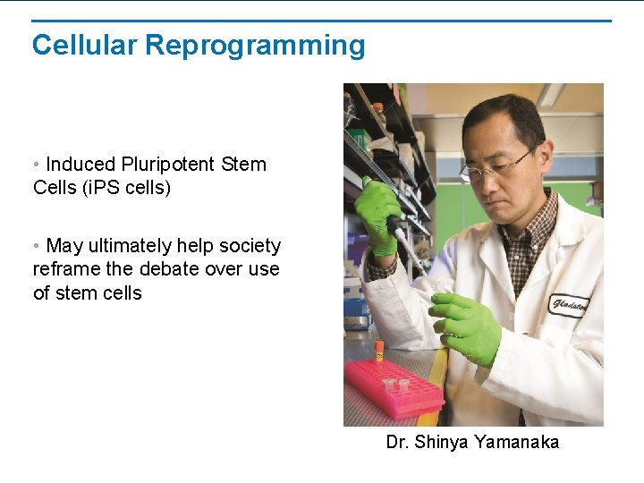 Cellular Reprogramming • Induced Pluripotent Stem Cells (i. PS cells) • May ultimately help