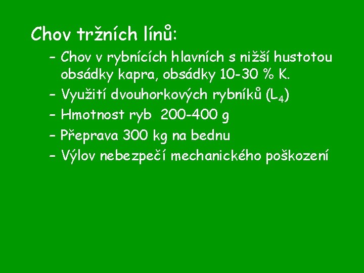 Chov tržních línů: – Chov v rybnících hlavních s nižší hustotou obsádky kapra, obsádky