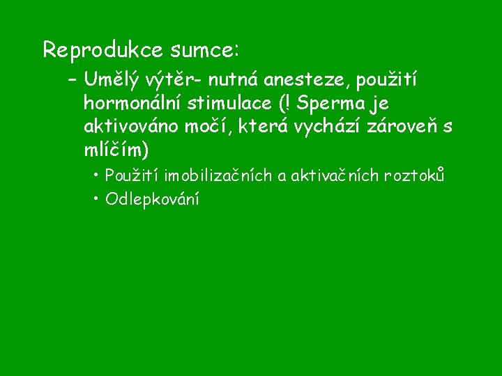 Reprodukce sumce: – Umělý výtěr- nutná anesteze, použití hormonální stimulace (! Sperma je aktivováno