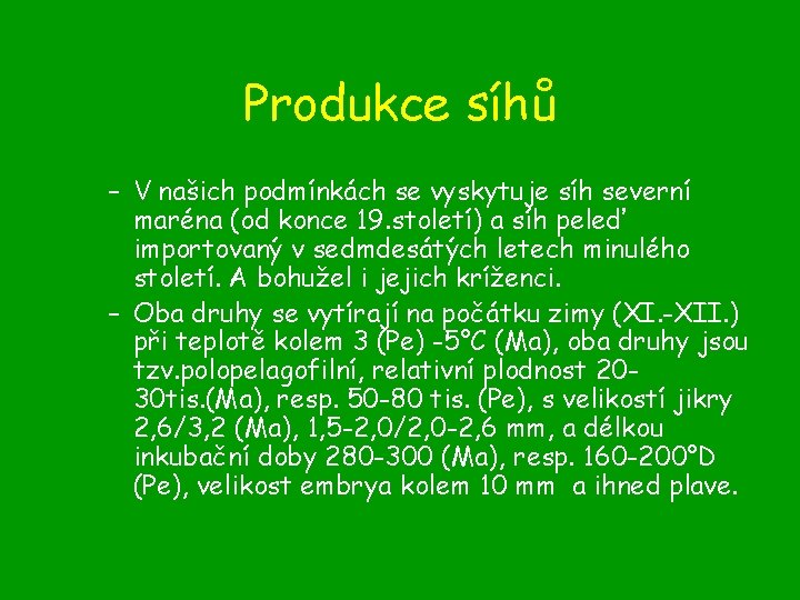 Produkce síhů – V našich podmínkách se vyskytuje síh severní maréna (od konce 19.