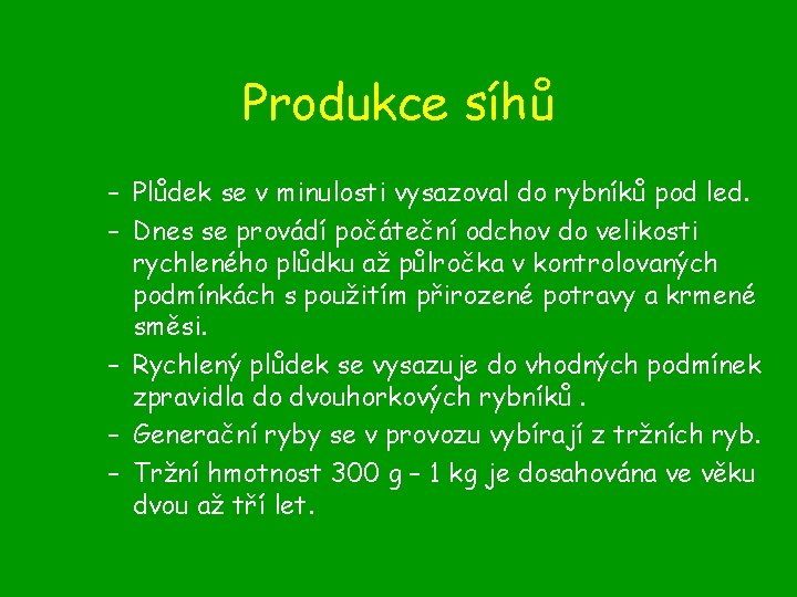 Produkce síhů – Plůdek se v minulosti vysazoval do rybníků pod led. – Dnes